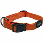 Kaelarihm koertele Rogz Utility Classic, oranž v., 340 - 560 mm x 20 mm, 34-56