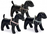 Koerte traksid Beeztees Harness, mint, 460 - 750 mm x 20 mm, L