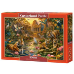 Pusle Castorland Tigers Paradise 105199, 47 cm x 68 cm, 1000 tk, mitmev&auml;rviline