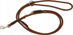 Koera rihm Dino, pruun v., 2 m x 14 mm