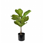 Kunsttaim potis, viigipuu Mondex Viridis, roheline, 56 cm x 13 cm