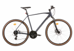 Jalgratas maanteeratas Bottari TRK 28 MTB 24S H51, 28 ", 20" raam, hall v.