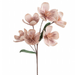 Kunstlill Flore 854, beež v., 70 cm x 15 cm