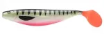 Kummist kala Jaxon Intensa Max TG-INX170C, 17 cm, mitmev&auml;rviline
