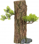 Akvaariumi dekoratsioon Zolux Forest 352197, 0.105 kg, pruun/roheline, 13 cm, S
