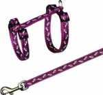 Kassi rakmed koos rihmaga Trixie Adjustable cat harness TX-4142, 27 - 46 cm x 10 mm, mitmev&auml;rviline