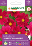 Seemned Garden Center kosmos SENSATION CARMINE, 1 g