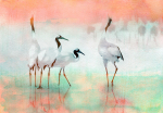 Fototapeet Artgeist Cranes In Pastels, 70 cm x 100 cm