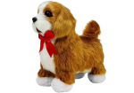 M&auml;nguloom koer Cavalier Spaniel, 20 cm, pruun