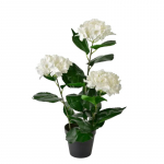 Kunsttaim potis, hortensia Mondex Viridis, kreemjasvalge/roheline, 51 cm