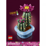 Konstruktor LEGO&reg; Botanicals Collection &Otilde;itsev kaktus 11509, 482 tk