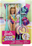 Nukk aksessuaaridega Mattel Barbie Team Stacie GBK59, 24 cm, mitmev&auml;rviline