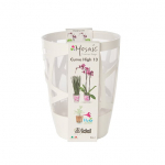 Lillepott MOSCH0013-609, plastik, l&auml;bipaistev/valge