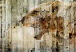 Fototapeet Artgeist Unbridled Beauty, 70 cm x 100 cm