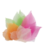 Loovkomplekt, kangast kroonlehed Magnolia, mitmev&auml;rviline