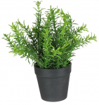 Kunsttaim potis, maitsetaimed Splendid Herbs 3, roheline v., 22 cm x 15 cm