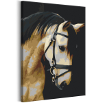 Maalimine numbrite j&auml;rgi Artgeist Horse Portrait MA_0434, 40 x 60 cm