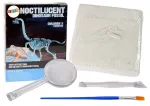 Arheoloogi komplekt Noctilucent Dinosaur Fossil