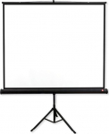 Projektoriekraan AVTek PRO 200, 1:1