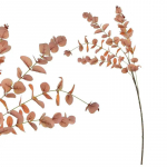 Kunstlill, eukal&uuml;pt Mondex Viridis, oranž, 92 cm