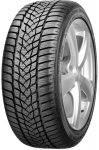 Talverehv Goodyear Ultra Grip Performance 2 255/50/R21, 89-H, D, C, 67 dB