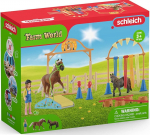 Komplekt Schleich Farm World Pony Agility Training 42481, 48 tk, mitmev&auml;rviline