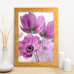 Fotomaal Wallity AC1680333025, 24 cm x 29 cm