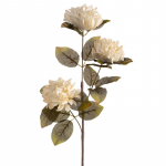 Kunstlill Flore 837, kreemjasvalge, 67 cm x 12 cm