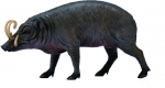 M&auml;ngukujuke Collecta Babirusa 88727, 10 cm, must v.