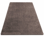 Vaip sise Kamel 0063, pruun v., 220 cm x 160 cm