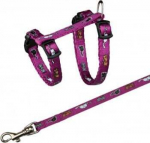 Kassi rakmed koos rihmaga Trixie Adjustable cat harness TX-4144, 21 - 33 cm x 8 mm, mitmev&auml;rviline