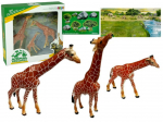 Kujukeste komplekt, kaelkirjak Lean Toys Animal Kingdom, 3 tk, pruun v.