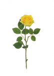 Kunstlill, roos, kollane, 65 cm