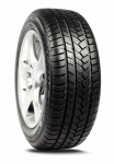 Talverehv Malatesta Tyre, taastatud 225/45/R17, 94-V, E, F
