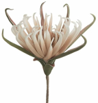 Kunstlill Flore 827, beež v., 62 cm