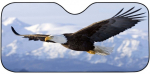 Esiklaasi kate Bottari Eagle, 80 cm x 150 cm