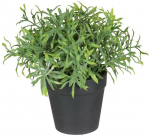 Kunsttaim potis, maitsetaimed Splendid Herbs 1, roheline v., 20 cm x 15 cm