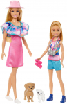 Nukkude komplekt Mattel Barbie HRM09, 29 cm, mitmev&auml;rviline