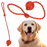 M&auml;nguasi koerale, treeninguks Springos