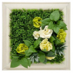 Dekoratsioon Mirpol Eustoma, valge/roheline