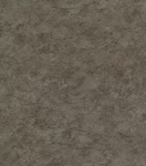 Tapeet Rasch 497564, vin&uuml;&uuml;l, hall v.