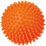 M&auml;nguasi koerale, pall Trixie Hedgehog 3412, &Oslash; 10 cm, (v&auml;rv/disain valitakse juhuslikult), 10 cm