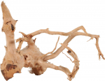 Akvaariumi dekoratsioon Zolux Spider Root 10, pruun v., 30 cm