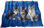 Pleed KW-116, sinine v./must v./hall v., 160 cm x 210 cm
