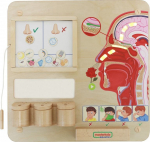 Arendav tahvel, inimkeha Masterkidz Sense Of Smell, pruun v./punane v./roosa v.