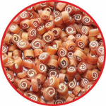 Koeramaius Lupi Pets Sushi, kalaliha/kanaliha, 0.5 kg