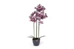 Kunstlilled vaasis, orhidee Domoletti, roosa v., 70 cm