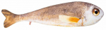 Pehme m&auml;nguasi kala Fancy, pruun v., 13 cm