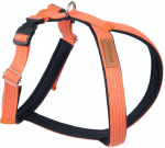 Koerte traksid Amiplay Cotton Grand Soft, oranž, 490 - 590 mm, 49-59