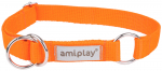 Kaelarihm koertele Amiplay Samba, oranž, 250 - 400 mm x 20 mm, 25-40